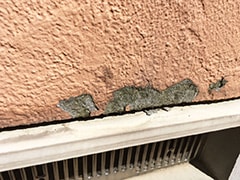 外壁のヒビや塗装の剥がれが気になる